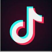 Tik Tok Mod Apk V31.3.5  2023