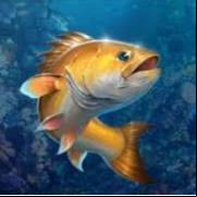 Fishing Hook Mod Apk 2.4.7 Versi Terkini