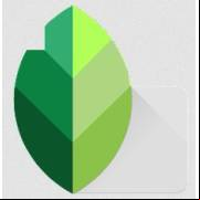 Snapseed Apk V2.19 Android Için Ücretsiz İndir